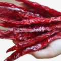 الفلفل الحار المجفف عالي الجودة للتصدير